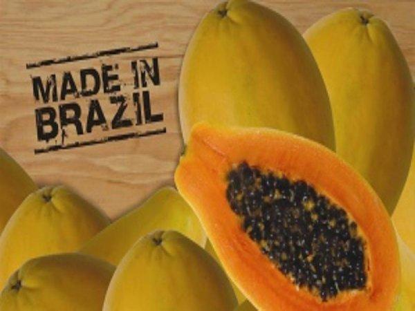 Abrafrutas vai ao Chile conhecer particularidades do mercado consumidor de mamão para exportação